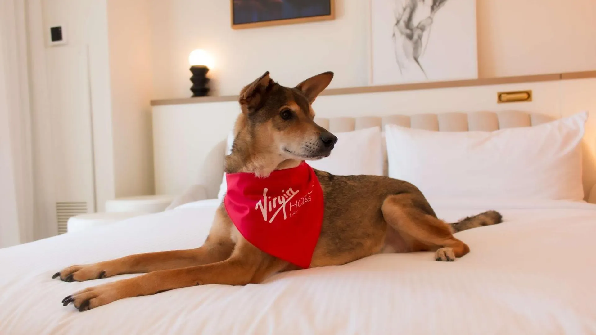 Virgin Hotels Las Vegas, Curio Collection By Hilton Semesteranläggning (resort)